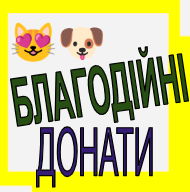CatDog help animal a n i m a l d o n a t donate public p u b l i c donate d o n a t z o o zoo medic m e d i c help h e l p dog d o g s cat c a t support s u p o r t portal p o r t a l